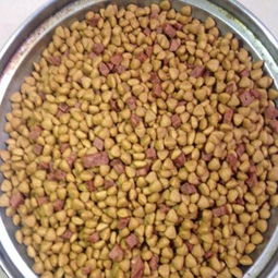 年貨囤糧正當(dāng)時 肉粒狗糧1:4添加，全犬期特惠促銷開啟