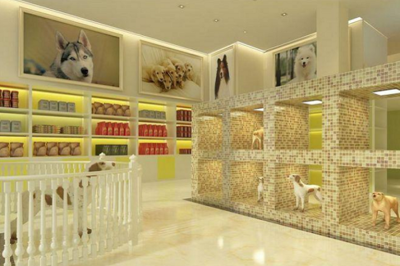 寵物店加盟哪家強？寵物食品銷售全解析